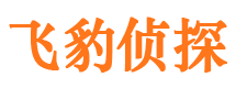 江苏市侦探调查公司